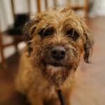 David Walliams Instagram – My little Ern.