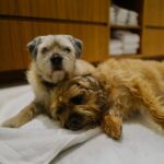 David Walliams Instagram – My little Ern.
