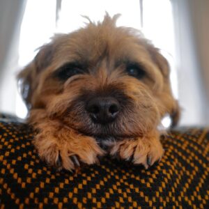 David Walliams Instagram - My little Ern.