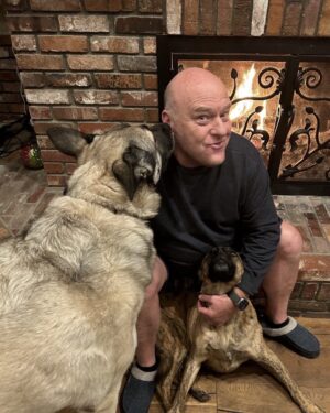 Dean Norris Instagram - Chilly rainy night in SoCal watching #chargers kick some butt