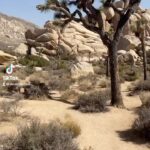 Dean Norris Instagram – In the desert on a horse with no name