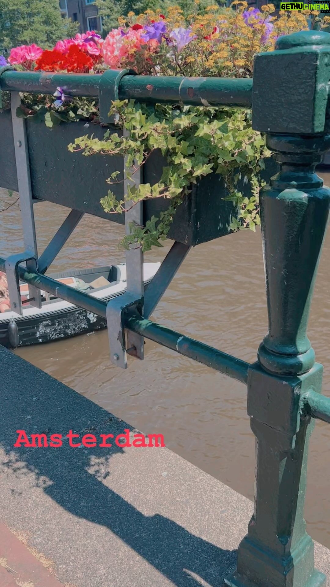 Dean Norris Instagram - Loving Amsterdam! #amsterdam #netherlands