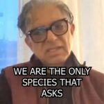 Deepak Chopra Instagram - Who am I ? What do I want? What’s my purpose? What am I grateful for ? How do I find out ? #quantum #quantumphysics #nonduality #enlightenment #consciousness #existence #reality #spirituality #philosophy #science #mindbody
