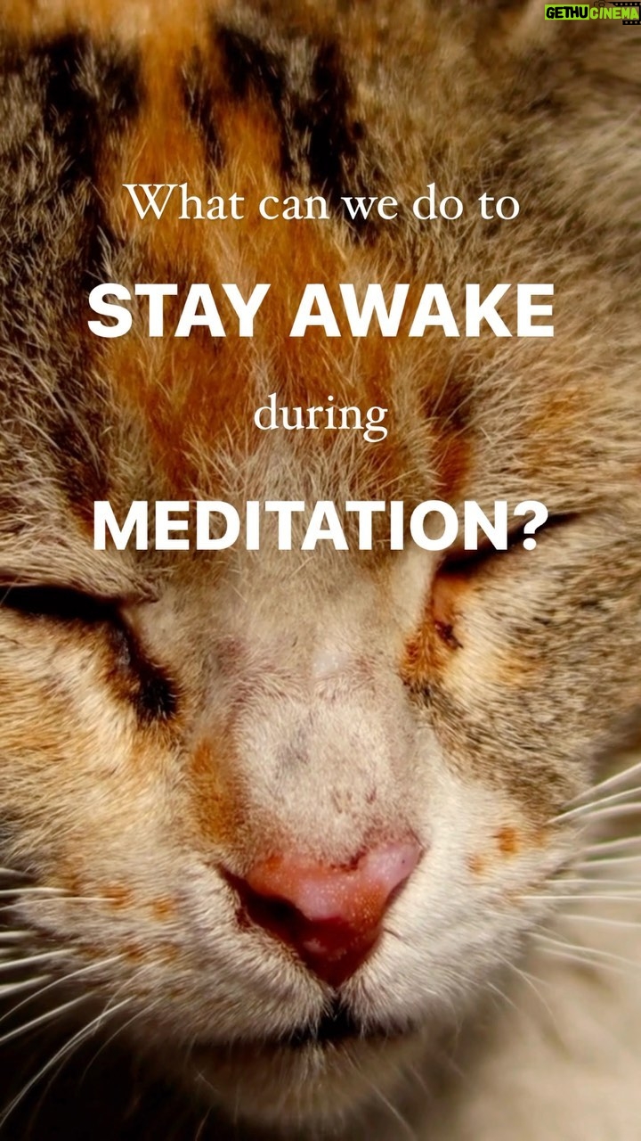 Deepak Chopra Instagram - #AskDeepak “I am doing both meditation series: manifesting grace through gratitude and the energy of attraction. What can I do to stay awake during meditation? I do them twice a day (morning and evening) but it often happens that I fall asleep.” My Response: The most important thing is to get more sleep at nighttime. If you still fall asleep during meditation, don’t worry about it. If you need to lie down and sleep, that’s fine. Don’t try to stay awake to meditate. Sleep during meditation is a deeper quality of sleep than you have at night, and it will help you release tensions and contractions you wouldn’t ordinarily get at otherwise. When you awaken, sit up and finish your meditation time. If you have already gone over, end with 2-3 minutes of meditation. Love, Deepak
