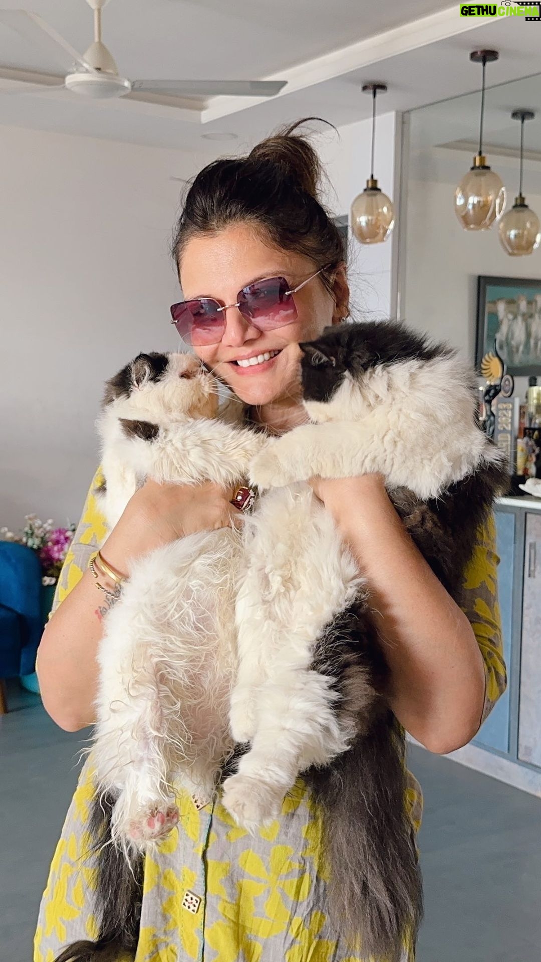 Deepshikha Nagpal Instagram - Bath time for my cat. So much fun . . . #cats #spa #pets #catlover #animal