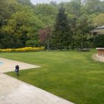 Demet Akalın Instagram -