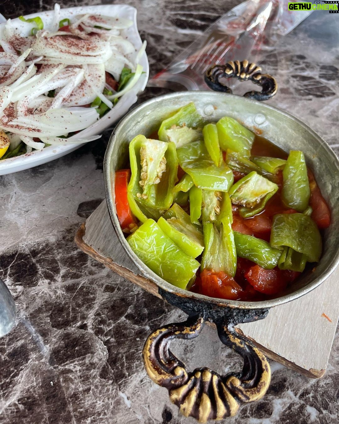 Demet Evgar Instagram - Güzel gün, yeşil Bursa ve 3. 4. 5. Fotolardaki güzel aile ve restoranları ( Gölyazı köyüne girince, kiliseyi geçin solda , teras manzaralı) ve şahane yemekleri çok teşekkürler. . (Kuşların şovuyla sona eren gün ise , gün gibi gündür) 💙 Apolyont Island