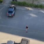 Deniz Çakır Instagram - Kimimiz göz göze geldiğinde kafasını okşamadan geçemezken,kimimiz ne tahammülsüz.. ne bencil.. hepi topu insanız işte.. geldik gidiyoruz… Güzel insansınız Özay bey .. varolun…🌿🌿🌿 #Repost @melisalphan with @make_repost ・・・ Çorlu’da sokakta yaşayan ve kimseye zararı olmayan köpeği belediyeye şikayet eden apartman sakinlerine Daire 16’dan Özay Kaya şöyle sesleniyor: “Kimseye zararı olmayan şu köpeği alınsın diye belediyeyi kim arıyorsa, uğraşacağım onunla. Herkese söylüyorum; daire 16’dayım, adım Özay Kaya” Hayatta en sevdiğim temenni “Hayat karşına iyi insanlar çıkarsın”dır. Hayvanlara düşman hiç kimse iyi insan olamaz. Ama işte iyi ki Özay Kaya gibi insanlar var. Dilerim mahalleden ona destek çıkarlar, onu yalnız bırakmazlar. O canım köpek de barınağa atılmaz. İyi ki varsın Özay Kaya. Dilerim bundan sonra hep iyi insalarla karşılaşırsın 🙏🏾