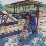 Deniz Çakır Instagram - Ne güzelsiniz siz,belki hayat bi bacağınızı almış,belki insanoğlunun ettiği zulümden boynunuz bükülmüş ama en güzelsiniz siz …hep güzelsiniz.. 🌿 @angelsfarmsanctuary kurtarılmış hayvanlar için bir cennet.. Teşekkürler Sibel hanım, bugün şifalandık can dostlarla… İzmir Province