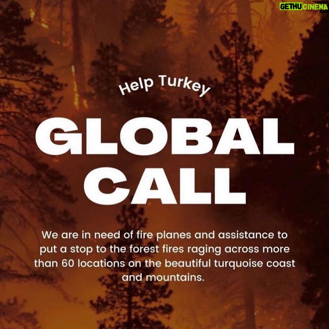 Deniz Çakır Instagram - … 🚨I am calling all the countries who can help us. We are perished and devastated with the total 112 fires. The ones that we can’t stop are still going so strong. We dont have enough fire fighting planes to stop it. We lost 8 people, so many animals and our forests. Please help us!!!!! We need planes urgently. We only have 1 world. #helpTurkey @ 🚨Bize yardım edebilecek tüm ülkelere seslenmek istiyorum. 112 adet yangın sebebiyle perişan ve harap olduk. Halen devam etmekte olan yangınlar çok güçlü. Bunları söndürmeye yetecek adette uçağımız yok. 8 insanı, sayısız hayvanı ve ormanlarımızı kaybettik. Lütfen bize yardım edin. Sadece 1 dünyamız var. #helpTurkey 🚨🚨🚨 Lütfen bu mesajı yayın. Bizim çok acil olarak dünya çapında sesimizi duyurmaya ve yardıma ihtiyacımız var. Help us !!! HELP! #havadanmüdahaleistiyoruz @unitednations @bbcnews @cnn @unesco