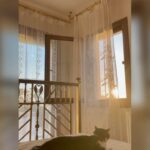 Deniz Çakır Instagram – Sanırım yakıştı Nur Yoldaş gün batımına…
🌿🌿🌿