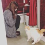 Deniz Çakır Instagram – Tam koynuna alıp uyumalık bi arkadaş… 
🐈💙