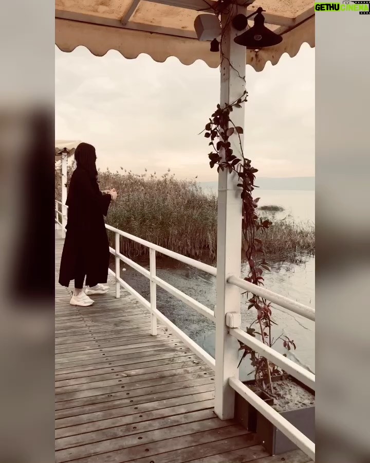 Deniz Çakır Instagram - Göl hep iyi gelir bana... hep iyi geldi...göle uyandım 3 sabah... ruha iyi gelen kaçma alanları olmalı insanın..ruha iyi gelen şarkılar dinleyip yenilendiği... her şey için bin minnet... 🌿 @golevikonaklamarestaurant Gölevi Resort Sapanca