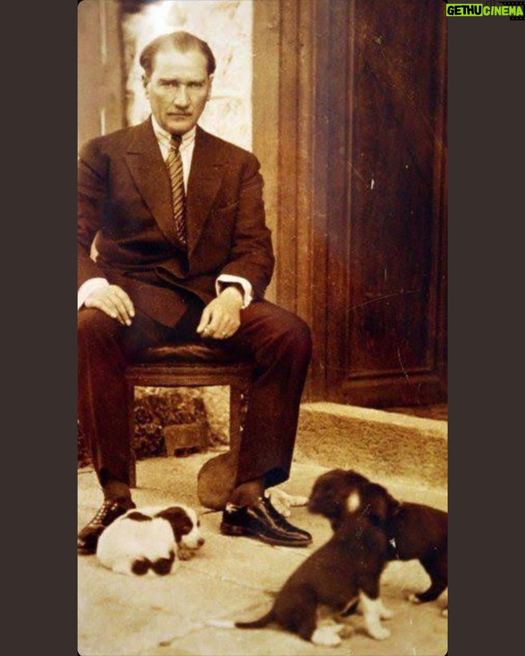 Deniz Çakır Instagram - Nasıl zarif,nasıl güzel... 🌹Yanında hep çocuklar hep hayvanlar..nasıl sevgi dolu.. Her zaman minnet ve özlemle...🌹🌹🌹