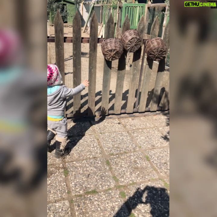 Deniz Çakır Instagram - Geçen sene tam da bugün tatlı Sena ile... 🐓🐓🐓🐓 @naturalifefarmhouse