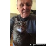 Deniz Çakır Instagram – 💙
#repost @anthonyhopkins
・・・
Niblo is making sure I stay healthy and demands I entertain him in exchange… cats 🤷🏼♂️
