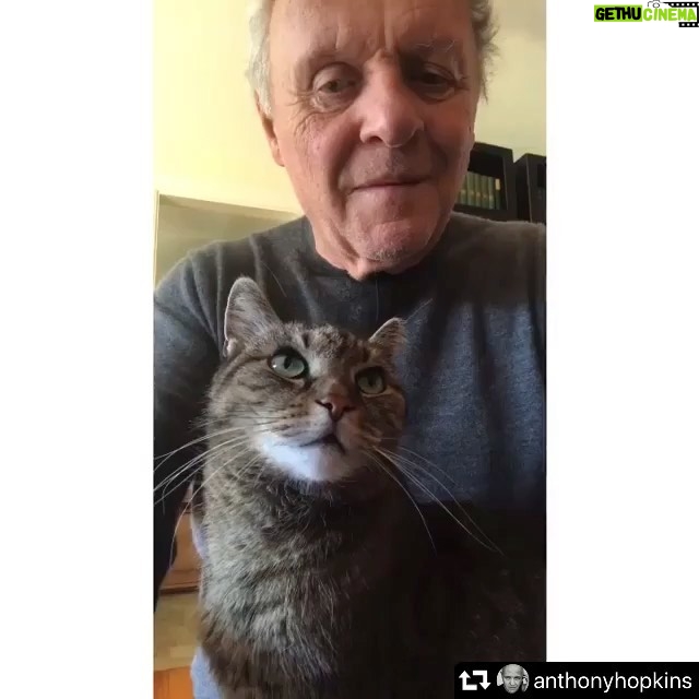 Deniz Çakır Instagram - 💙 #repost @anthonyhopkins ・・・ Niblo is making sure I stay healthy and demands I entertain him in exchange... cats 🤷🏼♂️