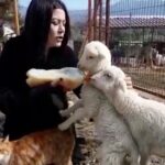 Deniz Çakır Instagram - O kadar güzelsiniz ki ..o kadar olur.. Ey doğa biz seni çok üzdük.. sen üzme bizi.. Bu şahane gün için,bu çocukların şifalı sesleri,bakışları koşup koşup sevgiyle üstüme atlamaları ve bana hissettirdikleri her şey için bin minnet @angelsfarmsanctuary ne güzel bir düzen kurmuşsunuz... can cana...