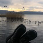 Deniz Çakır Instagram - Bazı mekanlar ne güzel.. şifalı.. ya aşık olursun ya şair.. İsmime inat, ben göllere fena tutkunum... Belki ilk vurulduğum oyun ‘Martı’.. ondan.. belki bilmem neden...ama ne vakit gölü olan şehirlere gitsem, kal diyo içim ...gitme burda kal...Bu yıla en sevdiğim yerde.. bi göl kıyısında girdim.. En güzel geçsin o zaman...Ahh Babannem hep dediğin gibi.. Allah iyi insanlarla karşılaştırsın... hep iyi insanlarla...umut ve inançla....🌿 🌿🌿🌿🌿🌿🌿🌿 Bugün ne güzeldiniz .. teşekkür ederim @golevirestaurant ...🌹 Gölevi Resort Sapanca