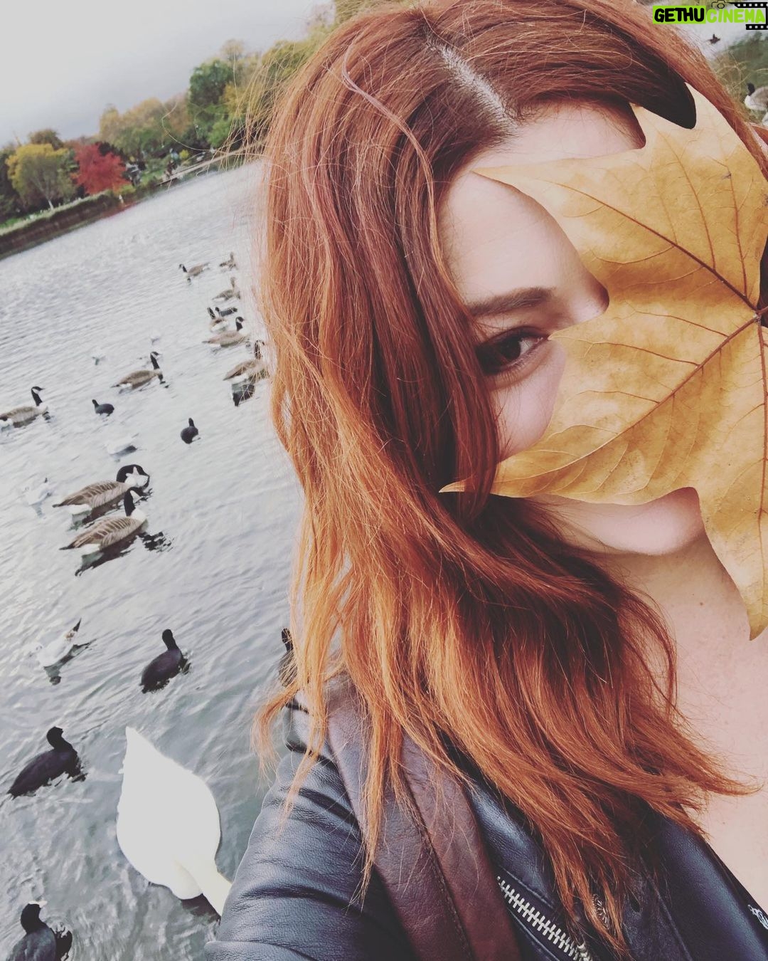 Deniz Çakır - 61.4K Likes - ’Kıymet bilmek’ ne güzel kelime
di mi?..
🍁🍁🍁
