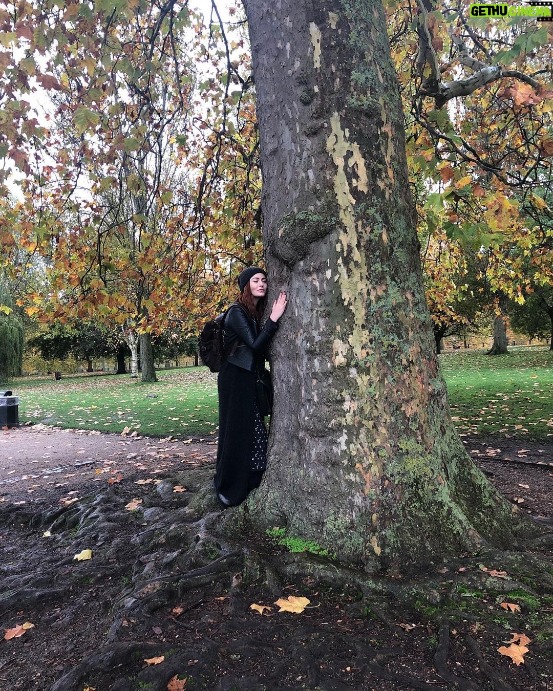 Deniz Çakır - 48.7K Likes - Ne güzelsin canım Sonbahar...
🍂🍂🍂