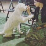 Deniz Çakır Instagram - Tatlı bi #tbt gelsin madem Gökçeada’dan..