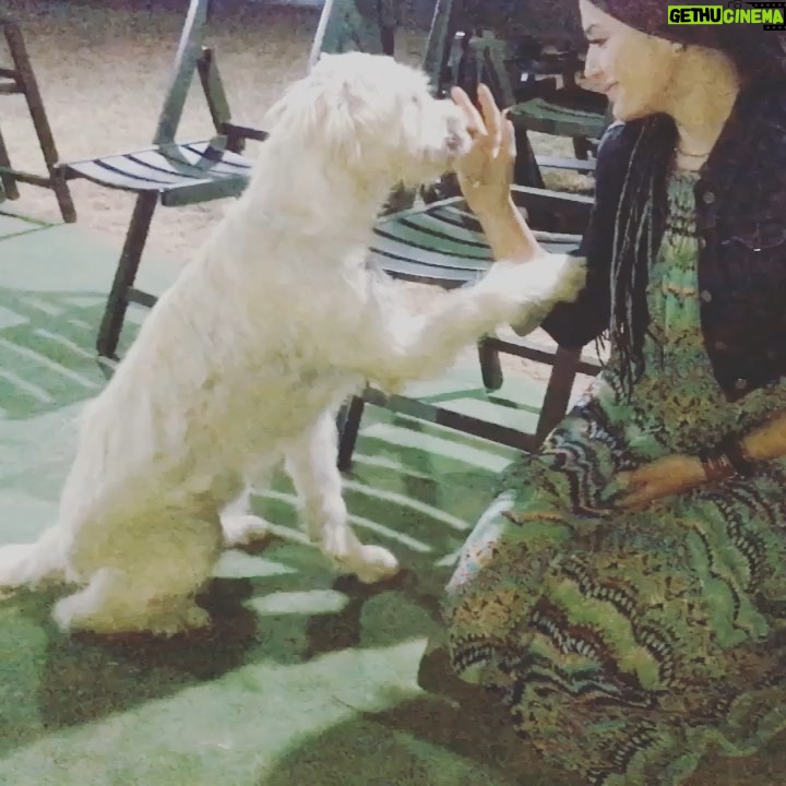 Deniz Çakır Instagram - Tatlı bi #tbt gelsin madem Gökçeada’dan..