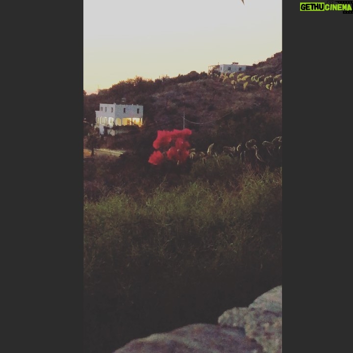 Deniz Çakır Instagram - “Bileğin diyorum Sol bileğin Yüzüme sürerdin Vedalaşırdık Damarın damarıma Bana bıraktığın buydu.” Gülten Akın