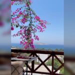 Deniz Çakır Instagram - Çok da uzun düşünmemeli… çünkü hayat.. düşünürken ,yaşamayı unutmaya değmez… 🌸🌸🌸 (Harun bu ne güzel şarkı🌸)