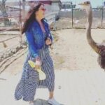 Deniz Çakır Instagram – Ne güzelsiniz siz,belki hayat bi bacağınızı almış,belki insanoğlunun ettiği zulümden boynunuz bükülmüş ama en güzelsiniz siz …hep güzelsiniz.. 🌿 @angelsfarmsanctuary kurtarılmış hayvanlar için bir cennet.. Teşekkürler Sibel hanım, bugün şifalandık can dostlarla… İzmir Province