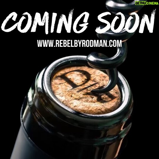 Dennis Rodman Instagram - Rebel coming Soon 🍷🍷🍷 #winelover #winetasting