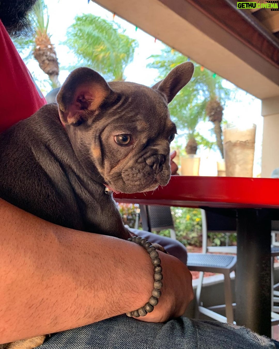 Dennis Rodman Instagram - Mya. Star. Missed. You.