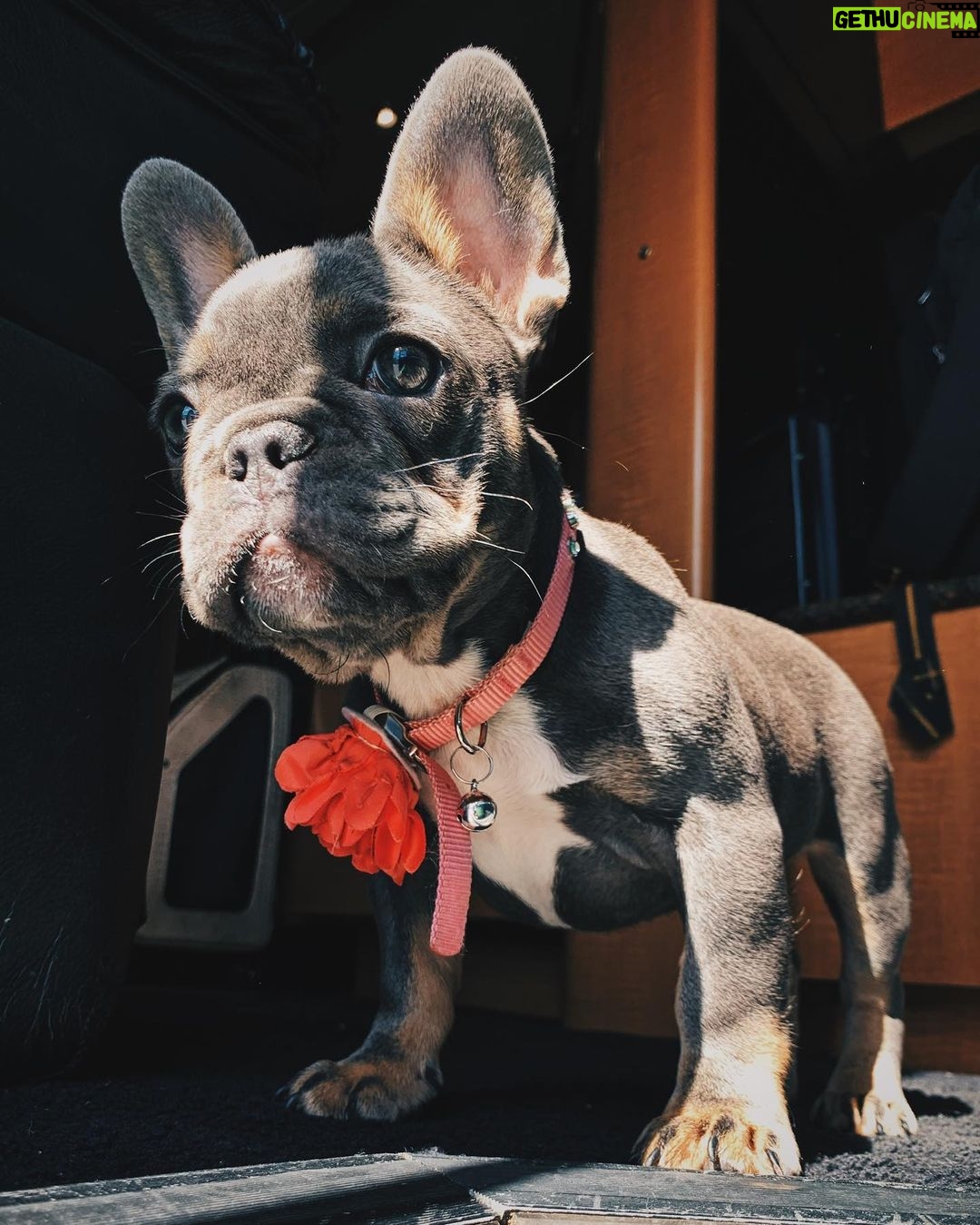 Dennis Rodman Instagram - Mya. Star. Rodman.