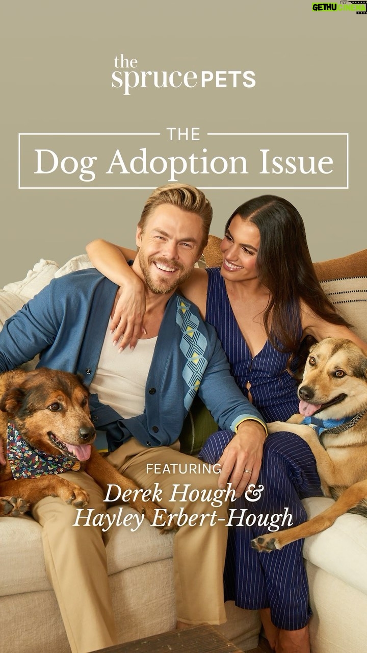 Derek Hough Instagram - It’s National Adopt a Shelter Dog Month, and we’re so excited to share The Dog Adoption Issue, featuring @derekhough and @hayley.erbert and their two rescue pups, Romie and Luna. The newlyweds shared their dog adoption journey with The Spruce Pets: the quirks, the challenges, the love, and even coming to terms with one day having to say goodbye. “Honestly, if I could adopt every single dog in all the shelters, I would,” Hayley says. “That is actually my goal one of these days. I keep saying to Derek, I just want a farm, but I don’t want typical farm animals. I just want to adopt 1,000 dogs and let them roam free and have the best life.” Head to the link in bio to read our cover story with #DerekHough and #HayleyErbertHough and their fur family. - Talent: @derekhough and @hayley.erbert Text by: Austin Cannon Produced by: @cynthiahadden Photography: @eccles Cinematographer: @ericlongden Executive Producer / Director: @happygojoanie Video Editing: Maura Willey Post Producer: @emilyhorng Wardrobe Stylist: @_jzg Prop Stylist: @piecesofcate Hair Stylist: @brittsully Makeup Stylist: @emmawillishmu Associate Editorial Director: @abbieharrisonnnn GM: @alliegiordano329