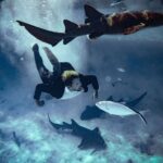 Derek Hough Instagram - Swimming with sharks 🦈