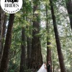 Derek Hough Instagram - "Regal redwoods" was the theme of @derekhough and @hayley.erbert's wedding in Carmel, California. From Hayley's custom Marchesa wedding gown and @inesdisanto reception dress to the opulent chandeliers and florals, see all the photos from their star-studded celebration at the link in bio. 📷: @amyandstuart 📋: @simplytroy 💐: Jimmy Hartman of @inblumela 👗: @marchesafashion and @inesdisanto 💇‍♀️: @jill901 💄: @emmawillishmu 🪧: @katecozziegraphicarts 🎥: @whiteinrevery 📍: @santaluciapreserve 🍰: @kellygraycakes 💡: @signaturechandeliers 🍽️: @theonicollection
