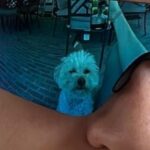Devin Druid Instagram – oh puppy!
@theboystv