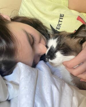 Devin Druid Instagram - 3 years today with the mother of my kitties @anniemarie