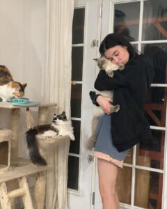 Devin Druid Instagram - 3 years today with the mother of my kitties @anniemarie