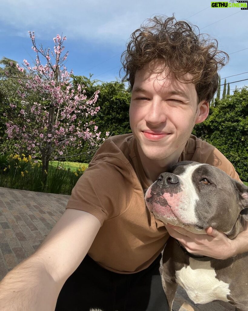 Devin Druid Instagram - The most heart-breaking Christmas post I ever hope to have. Just a few hours ago, I had to rush my boy to an emergency vet after he collapsed at my feet. My worst fears were realized and I was told my rescue furever friend of 9 years had passed, and he’s gone to roam the great doggy farm in the sky. Finn was first discovered in an abandoned house in Riverside with 40+ other dogs, back in 2016. The authorities were eventually called because of the smell. Finn clocked in at 22 pounds, had his vertebrate exposed from improper tail docking, and he was emaciated. They were left to starve to death and eat each other and their feces. Sick people treat our loving dogs this way. Thankfully various rescues teamed up to do such lifesaving work for these dogs. @wagsandwalks ended up rescuing my Finn, and nursing him back to health with the help of his amazing foster family. This is when I was introduced to the big head himself, and immediately fell in love. He was so gentle and thoughtful; likely a defense mechanism from his life of abuse. But overcoming that, it because his default and what we unlocked beyond that was an abundance of love, trust and absolute loyalty. From that day on, Finn’s favorite place to be was at my side. I know we will be reunited one day, my friend. Thank you for being MY dog, and my best friend. I am so lucky you chose me and I had so many years of love and joy (and eating) with you. I will love you forever Finn, and I will miss you for all of my life. Rest in peace my sweet man.