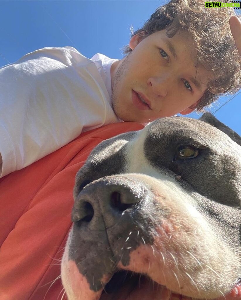 Devin Druid Instagram - The most heart-breaking Christmas post I ever hope to have. Just a few hours ago, I had to rush my boy to an emergency vet after he collapsed at my feet. My worst fears were realized and I was told my rescue furever friend of 9 years had passed, and he’s gone to roam the great doggy farm in the sky. Finn was first discovered in an abandoned house in Riverside with 40+ other dogs, back in 2016. The authorities were eventually called because of the smell. Finn clocked in at 22 pounds, had his vertebrate exposed from improper tail docking, and he was emaciated. They were left to starve to death and eat each other and their feces. Sick people treat our loving dogs this way. Thankfully various rescues teamed up to do such lifesaving work for these dogs. @wagsandwalks ended up rescuing my Finn, and nursing him back to health with the help of his amazing foster family. This is when I was introduced to the big head himself, and immediately fell in love. He was so gentle and thoughtful; likely a defense mechanism from his life of abuse. But overcoming that, it because his default and what we unlocked beyond that was an abundance of love, trust and absolute loyalty. From that day on, Finn’s favorite place to be was at my side. I know we will be reunited one day, my friend. Thank you for being MY dog, and my best friend. I am so lucky you chose me and I had so many years of love and joy (and eating) with you. I will love you forever Finn, and I will miss you for all of my life. Rest in peace my sweet man.