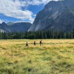 Devin Druid Instagram - gonna spam ya with lots o’ shots from Yosem Yosemite National Park