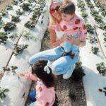 Devon Windsor Instagram - Berry happy 🍓🍓