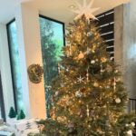 Devon Windsor Instagram – Wishing everyone a happy holiday 🎅🏼❤️🙏🏼