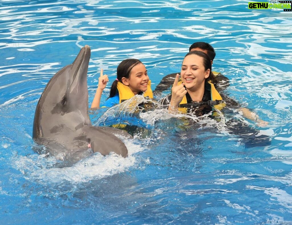 Diana Danielle Instagram - Unforgettable experience with Simba the dolphin at the @balimarinepark with my little family 🥲 The kids were so happy!!! Don’t miss this spot when you’re down in Bali - up close and personal with these sweet & intelligent creatures. Thank you for the memorable moments @balimarinepark, and #romantikaastro & @cogearproductions for setting up a special slot for us to enjoy Bali like we’ve never done before ❤️🤝