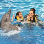Diana Danielle Instagram - Unforgettable experience with Simba the dolphin at the @balimarinepark with my little family 🥲 The kids were so happy!!! Don’t miss this spot when you’re down in Bali - up close and personal with these sweet & intelligent creatures. Thank you for the memorable moments @balimarinepark, and #romantikaastro & @cogearproductions for setting up a special slot for us to enjoy Bali like we’ve never done before ❤️🤝