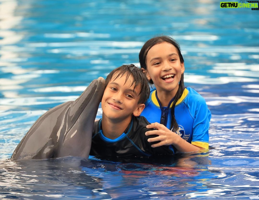 Diana Danielle Instagram - Unforgettable experience with Simba the dolphin at the @balimarinepark with my little family 🥲 The kids were so happy!!! Don’t miss this spot when you’re down in Bali - up close and personal with these sweet & intelligent creatures. Thank you for the memorable moments @balimarinepark, and #romantikaastro & @cogearproductions for setting up a special slot for us to enjoy Bali like we’ve never done before ❤️🤝