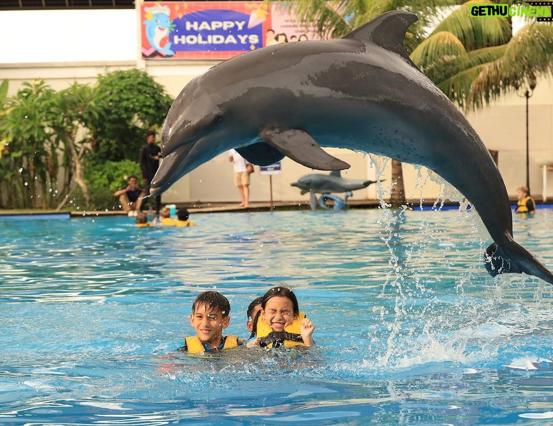 Diana Danielle Instagram - Unforgettable experience with Simba the dolphin at the @balimarinepark with my little family 🥲 The kids were so happy!!! Don’t miss this spot when you’re down in Bali - up close and personal with these sweet & intelligent creatures. Thank you for the memorable moments @balimarinepark, and #romantikaastro & @cogearproductions for setting up a special slot for us to enjoy Bali like we’ve never done before ❤️🤝
