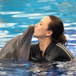 Diana Danielle Instagram - Unforgettable experience with Simba the dolphin at the @balimarinepark with my little family 🥲 The kids were so happy!!! Don’t miss this spot when you’re down in Bali - up close and personal with these sweet & intelligent creatures. Thank you for the memorable moments @balimarinepark, and #romantikaastro & @cogearproductions for setting up a special slot for us to enjoy Bali like we’ve never done before ❤️🤝
