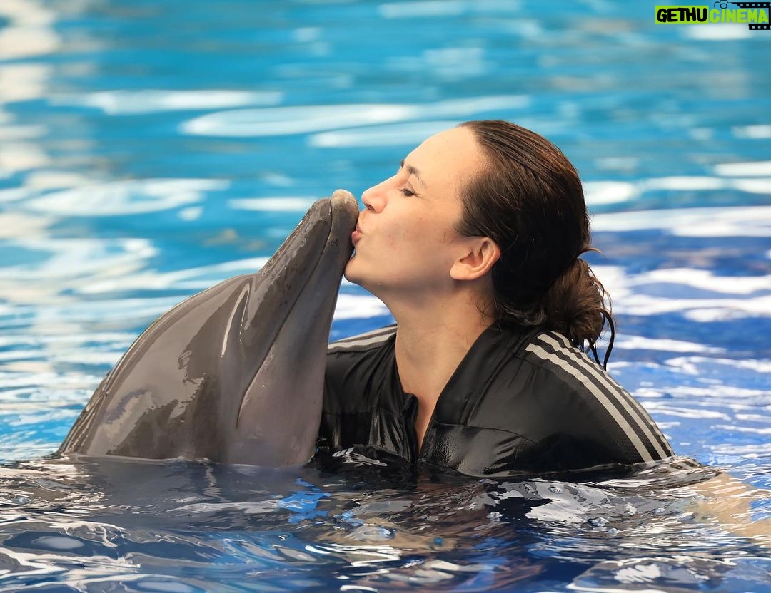 Diana Danielle Instagram - Unforgettable experience with Simba the dolphin at the @balimarinepark with my little family 🥲 The kids were so happy!!! Don’t miss this spot when you’re down in Bali - up close and personal with these sweet & intelligent creatures. Thank you for the memorable moments @balimarinepark, and #romantikaastro & @cogearproductions for setting up a special slot for us to enjoy Bali like we’ve never done before ❤️🤝